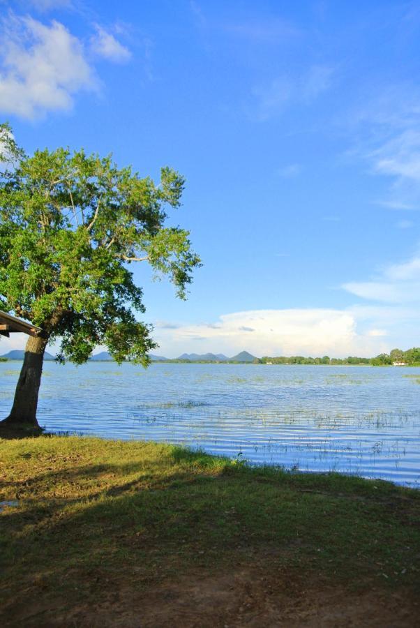 Flower Garden Lake Resort Tissamaharama Esterno foto